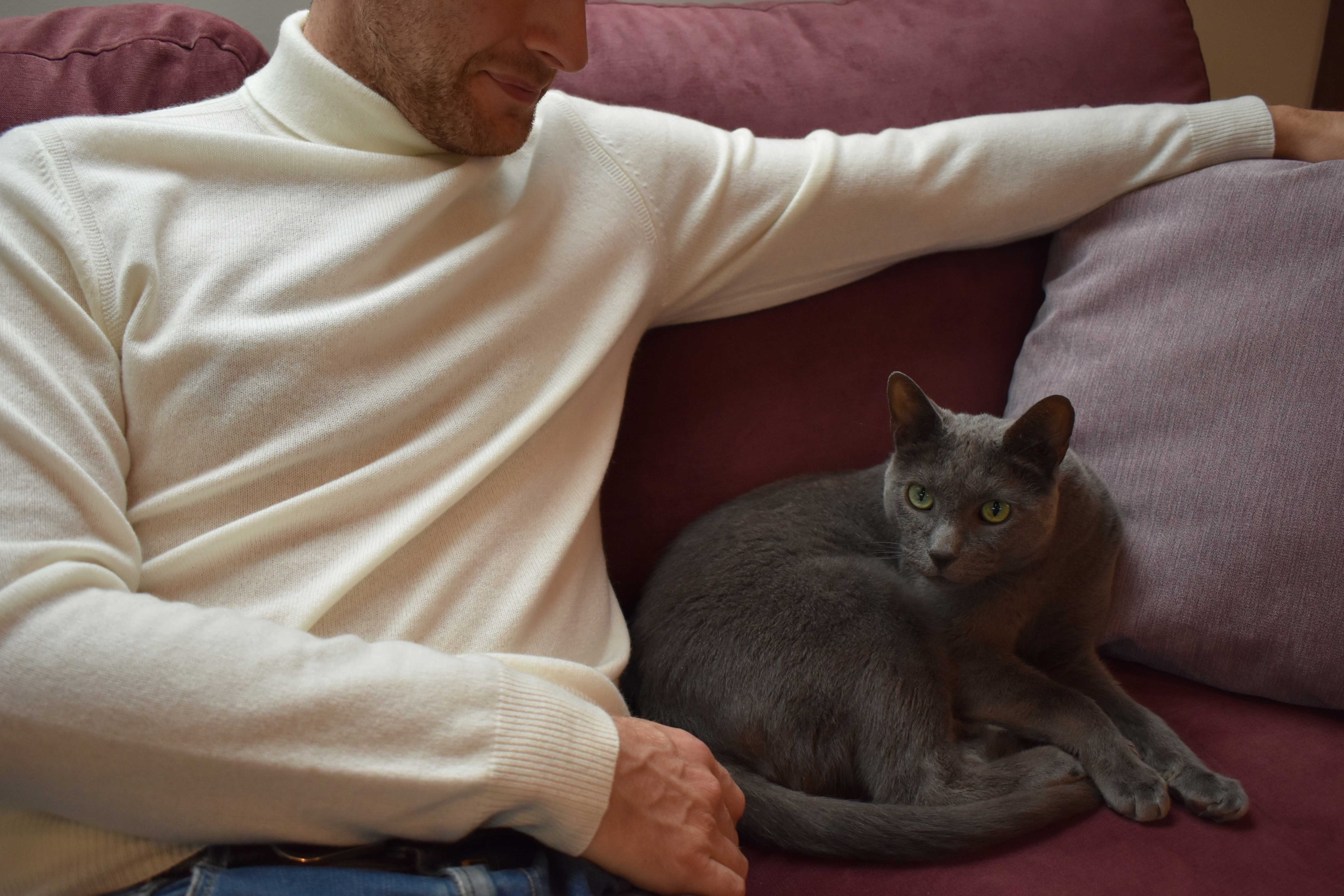 N.peal roll neck sweater posing on couch with cat 